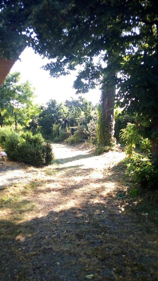 Twoj Azyl Villa Świdnik Екстериор снимка