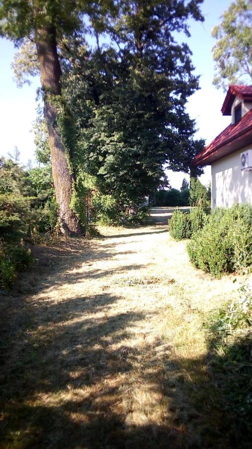 Twoj Azyl Villa Świdnik Екстериор снимка